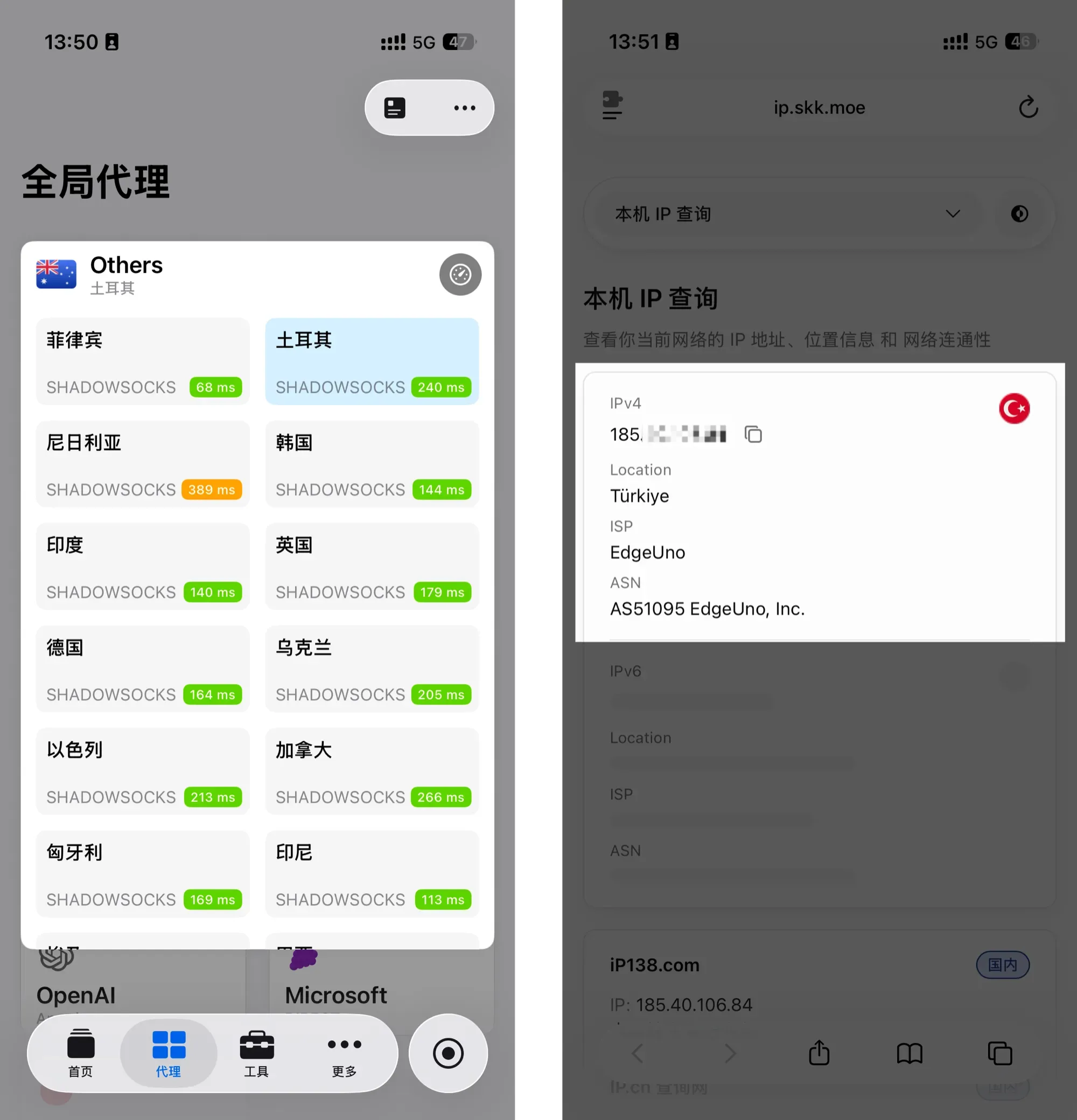 IP 地址验证网站截图
